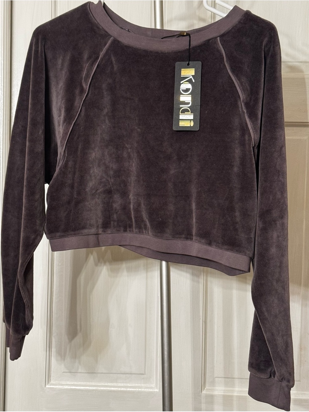 Suzi Kondi Velvet Cropped Sweatshirt in Plum Medium - Picture 1 of 3